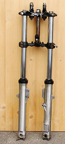 215_Gabel_Web